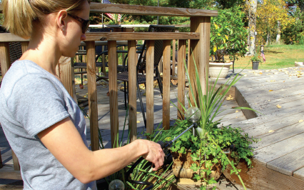 compact hand-held sprayers